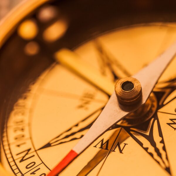 The LifeQuake Repurposing Roadmap Group Coaching Course: For Successfully Actuating Your Soul Purpose